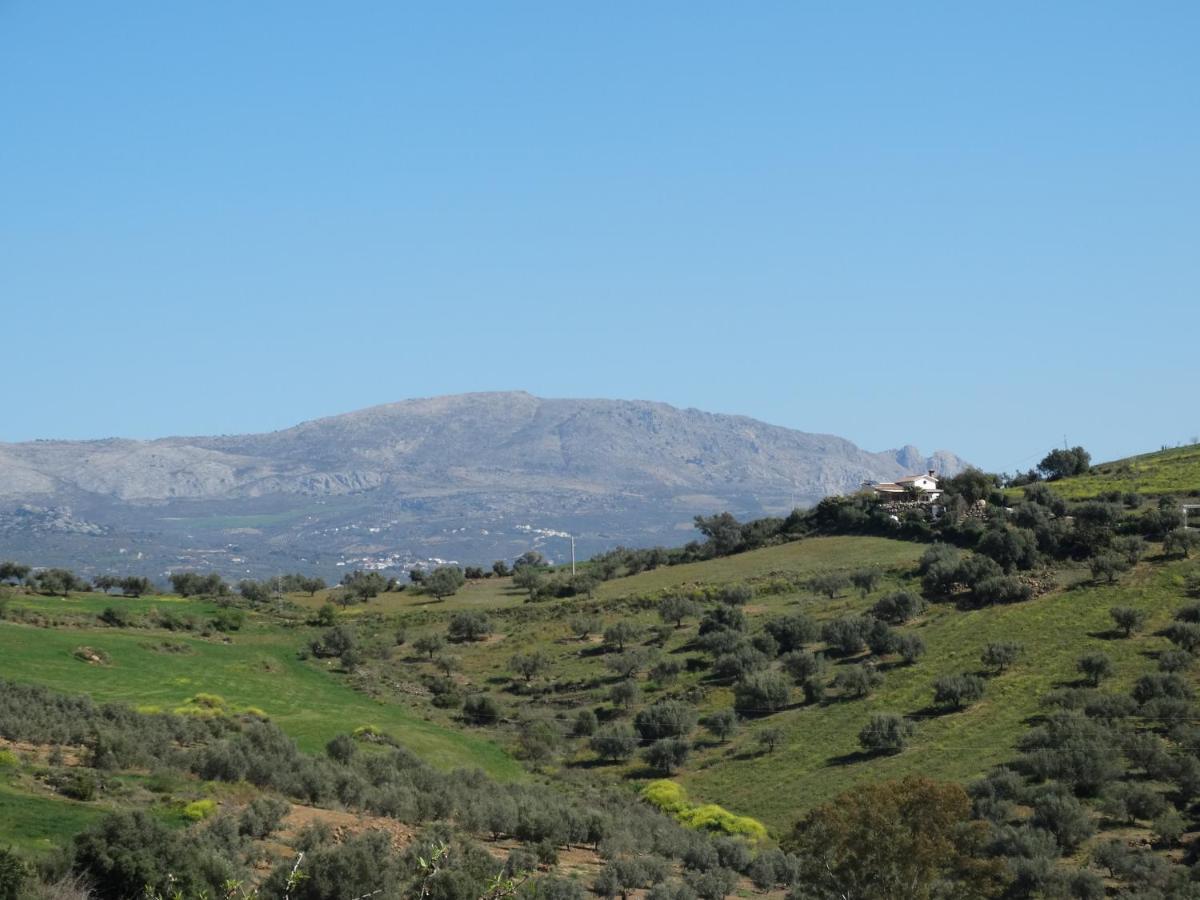 B&B Cortijo Loma Leon Cutar Exterior photo