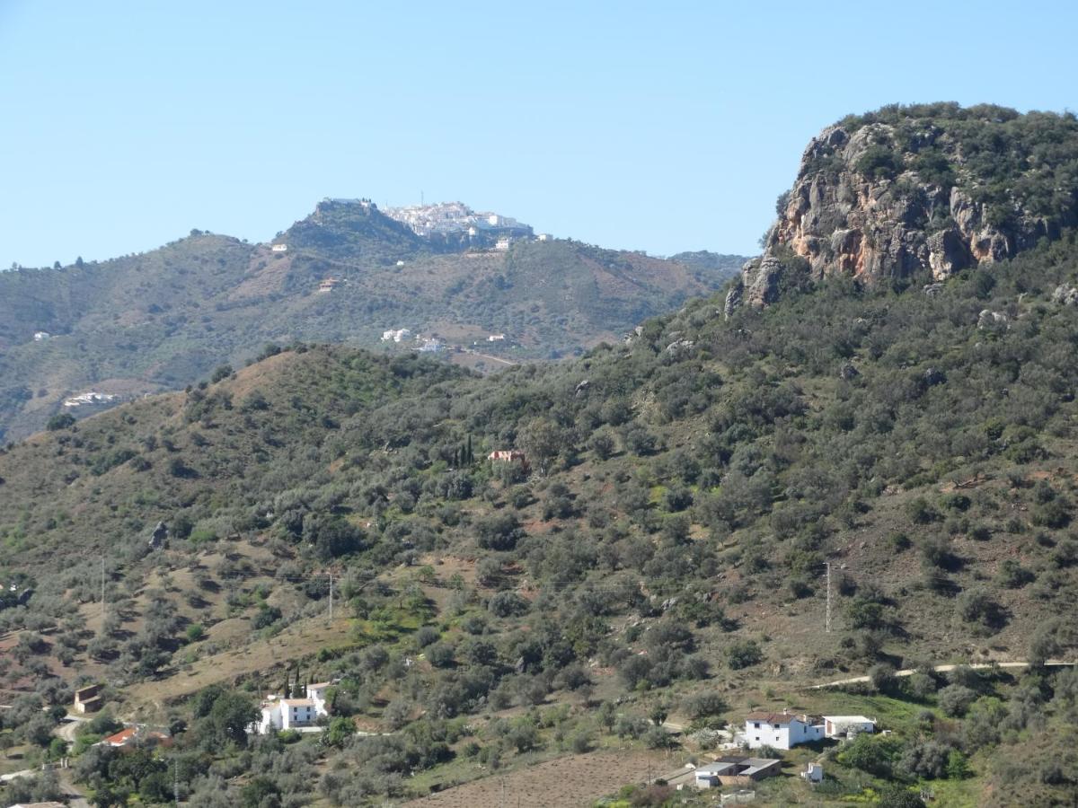 B&B Cortijo Loma Leon Cutar Exterior photo
