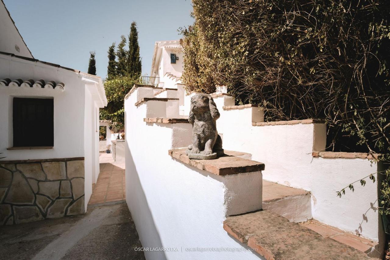 B&B Cortijo Loma Leon Cutar Exterior photo