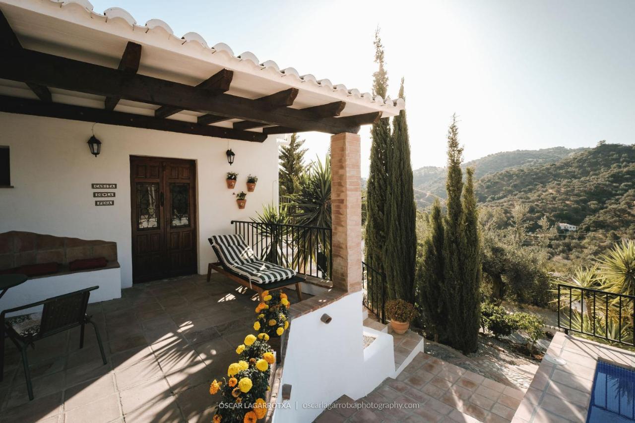 B&B Cortijo Loma Leon Cutar Exterior photo